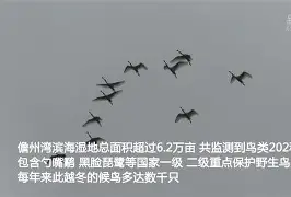 爱游戏-KQ╡裈{萠?羣勺簿o9